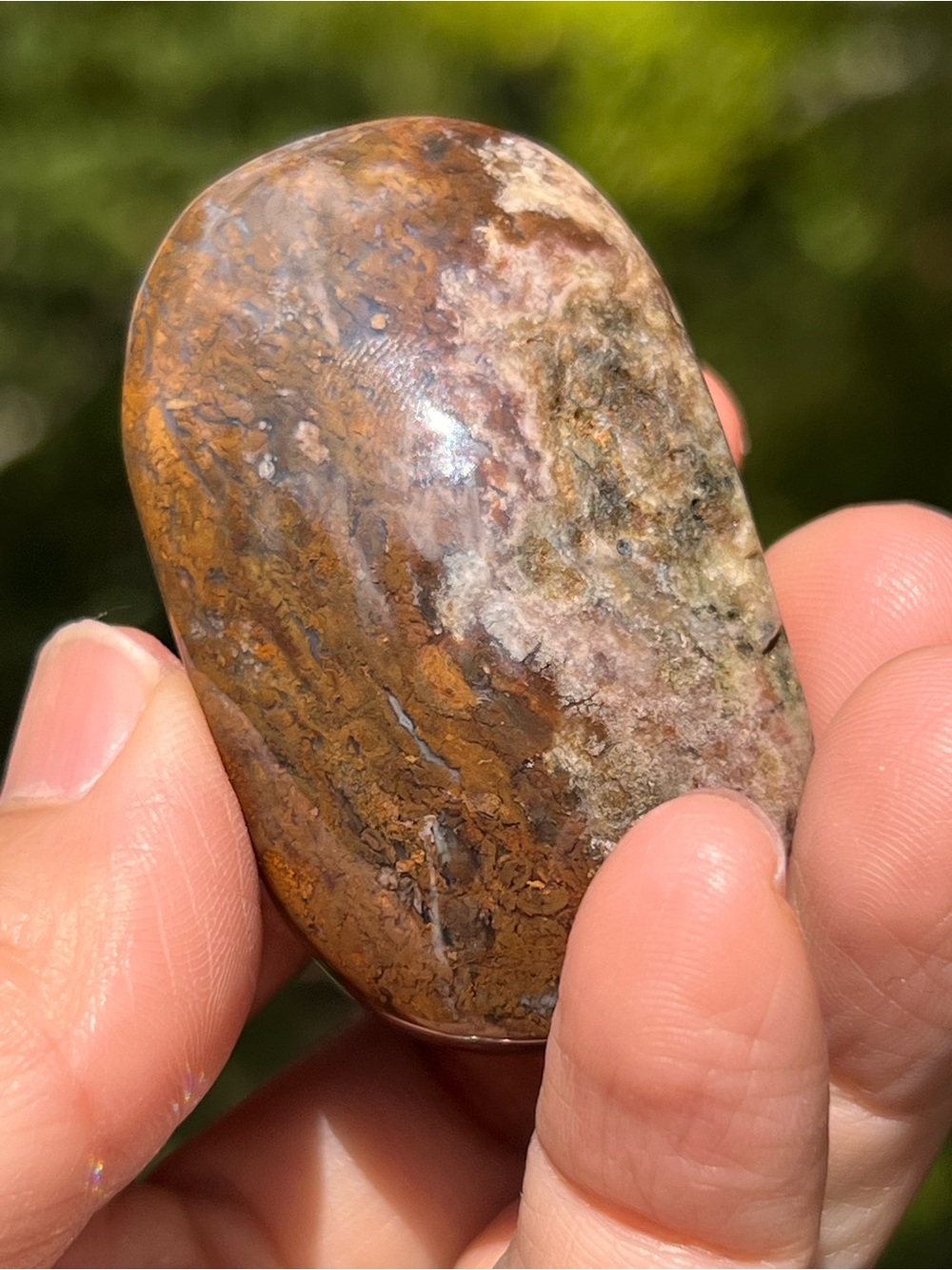 Red (2) moss agate palmstone | crystal